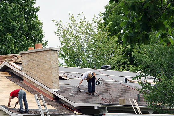 Best Roof Restoration Services  in Mackinac Island, MI