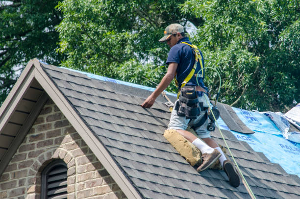 Best Roof Waterproofing Services  in Mackinac Island, MI